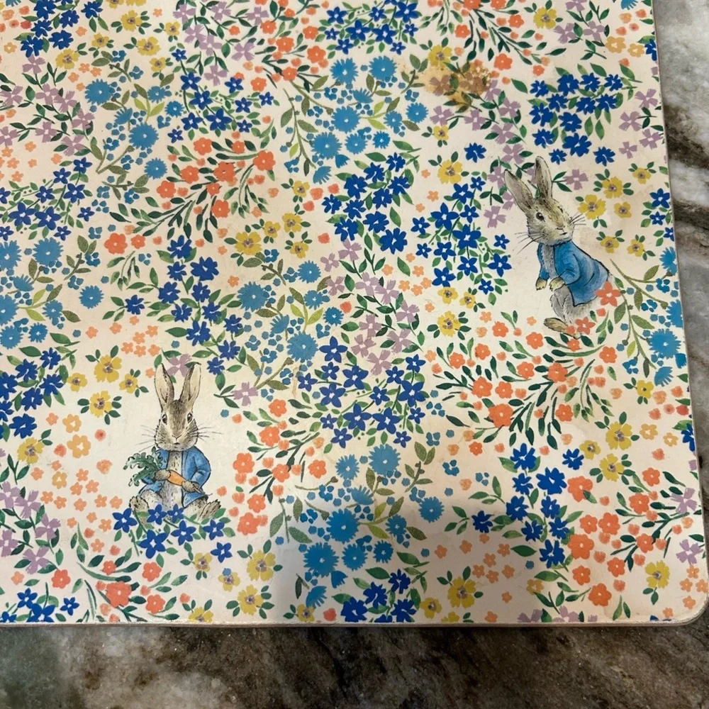 Pottery Barn x Beatrix potter cork placemat one stain GUC